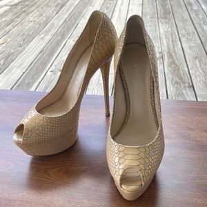 Casadei - Snake print pumps